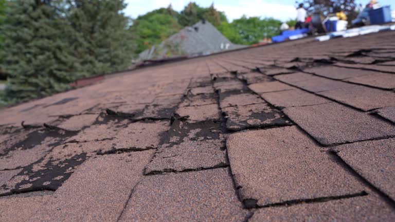 Best Roof Coating and Sealing  in Black River, NY