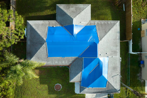 Best Sheet Metal Roofing  in Black River, NY