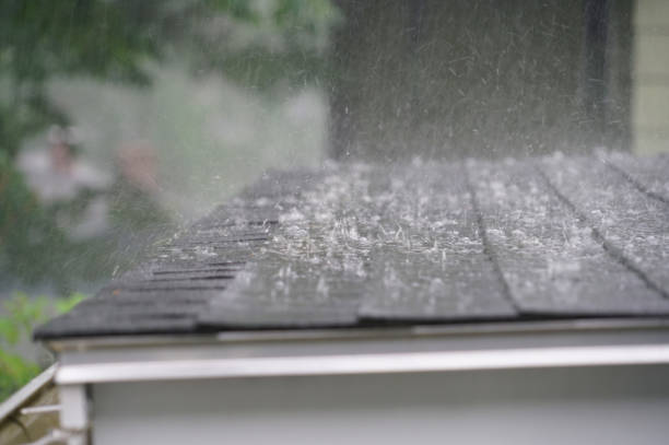 Best Asphalt Shingle Roofing  in Black River, NY